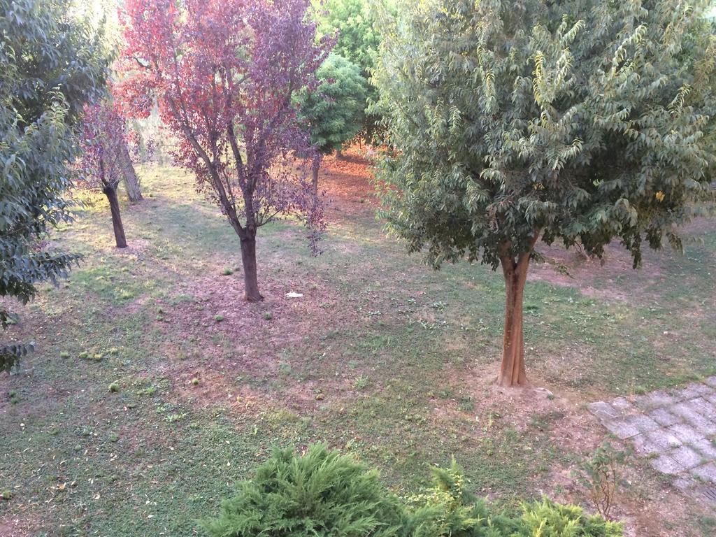 Bed & Breakfast Da Eliana Молинелла Экстерьер фото